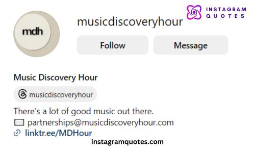 Instagram Bio For Music And Fun