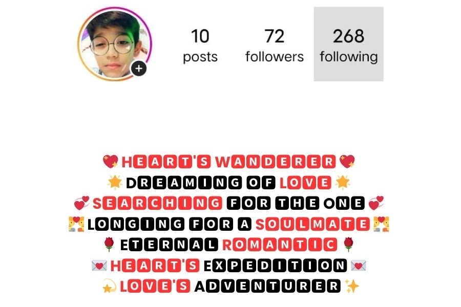 Instagram Bio For Boys